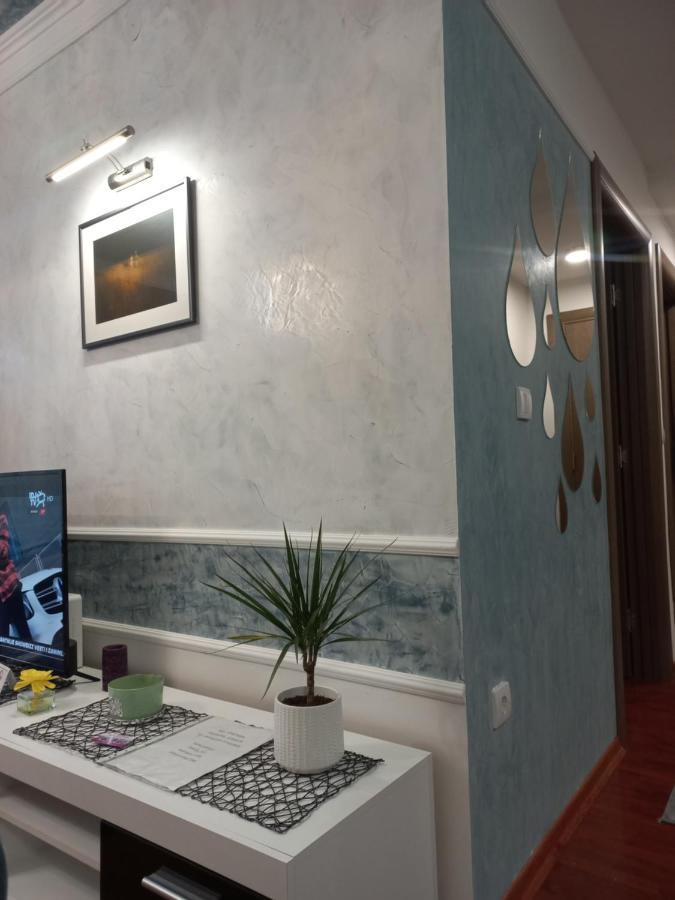 Twins Apartments Čačak 外观 照片